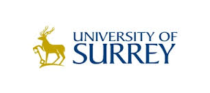university of surrey african mba scholarship