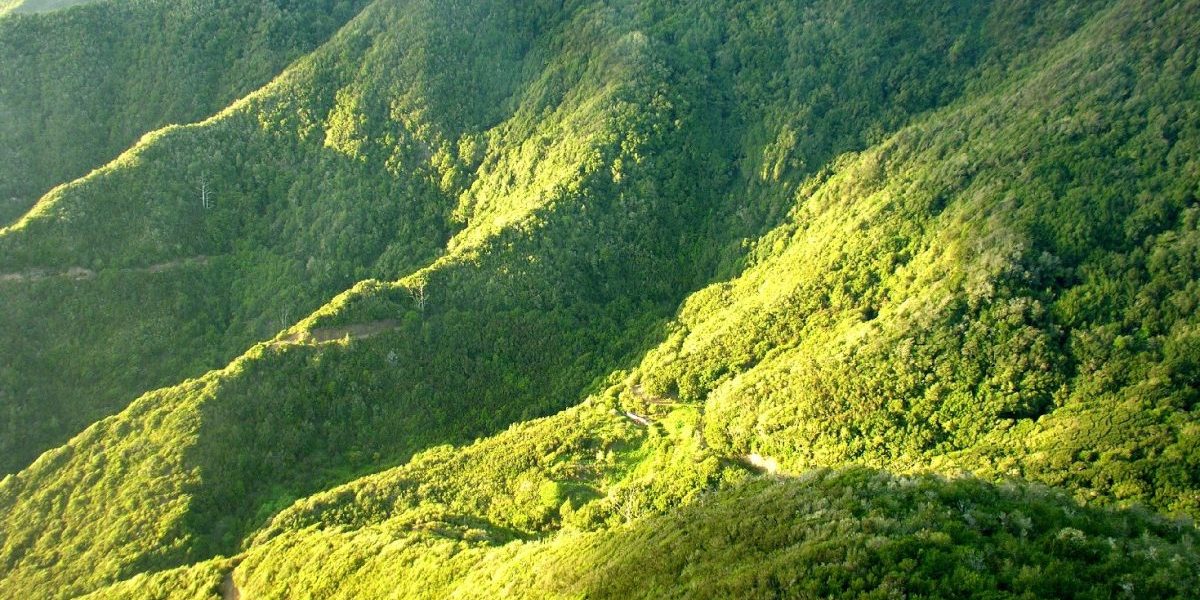 Garajonay