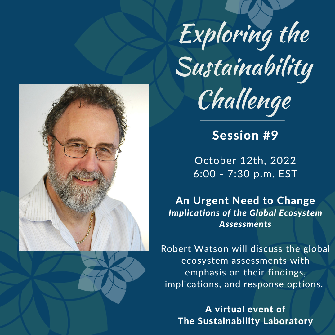 Exploring the Sustainability Challenge. An Urgent Need for Change with