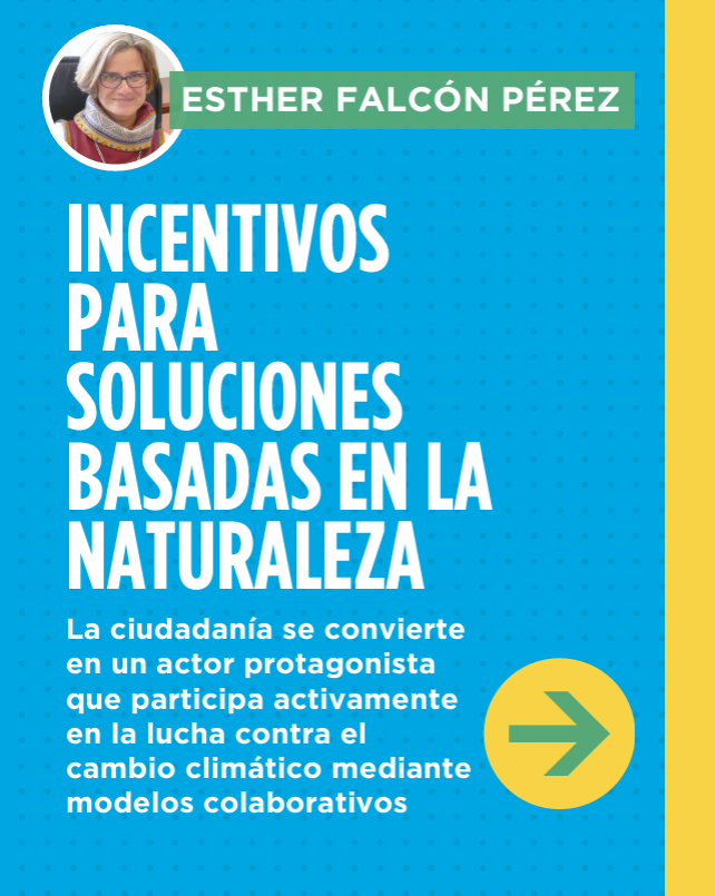 Presentan en el XXV Taller de Expertos de The Participatory Group un modelo pionero de incentivos fiscales para impulsar la sostenibilidad urbana
