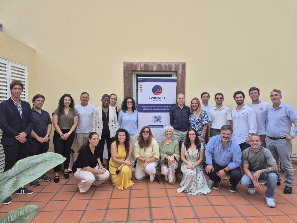 Twinned by Stars. Final Project Meeting